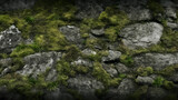 pared de roca de granito con musgo