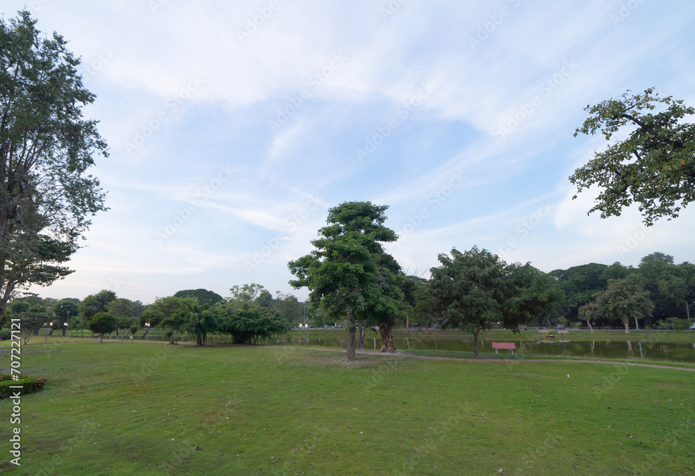 Garden park with green mangrove forest trees, river, pond or lake. Nature landscape background, Thailand.