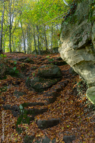 Hiking path in the valley called Mullerthal in Luxembourg photo