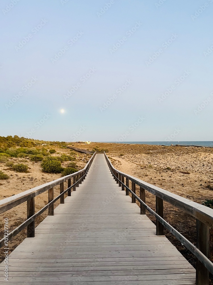Boardwalk to the ocean, early morning pastel sky, moon