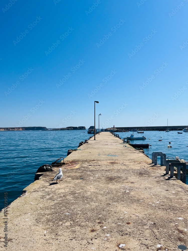 Concrete pier at the ocean, seagulls, clear blue sky