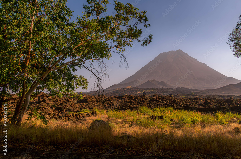 the-pico-do-fogo-volcano-the-lava-field-and-the-tree-at-fogo-island