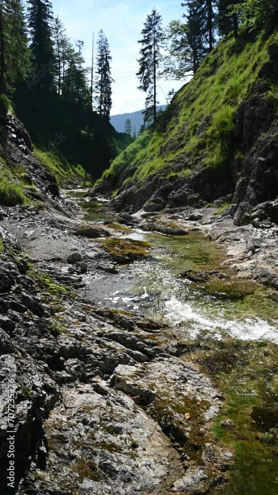 Vertical shot of a mountains stream in late summer sunlight Vertical shot of a mountains stream in late summer sunlight