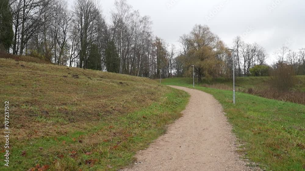 Tranquil Countryside Road Amidst Green Meadow and Trees Tranquil Countryside Road Amidst Green Meadow and Trees