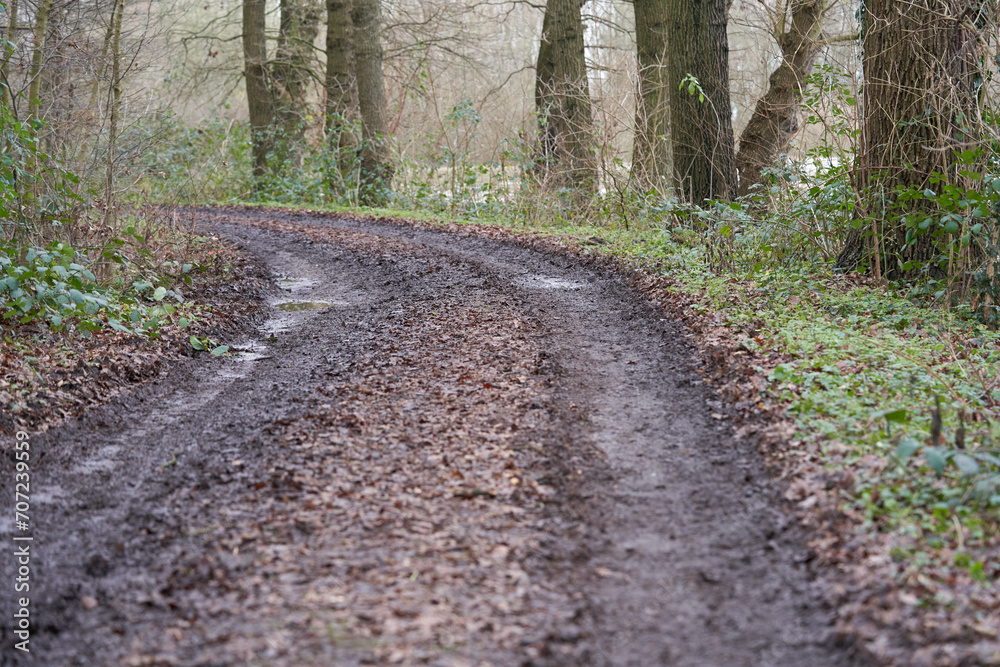Fototapeta premium Muddy impassable forest road after rain