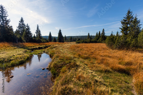 Beautiful autumn landscape with mountain river and coniferous forest. Jizerka, Czech.