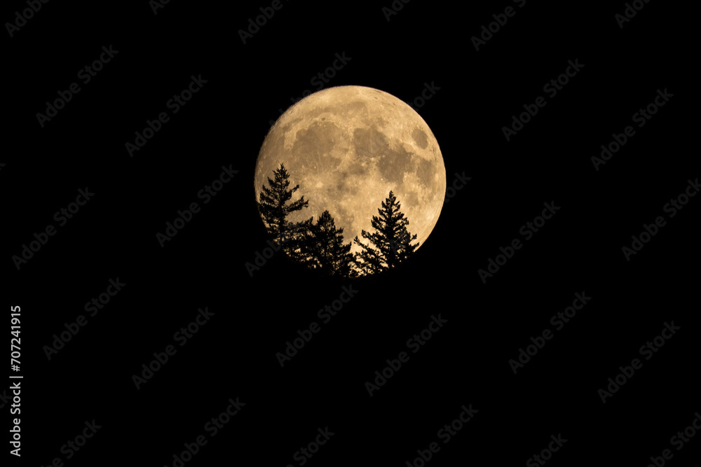 Fototapeta premium Supermoon