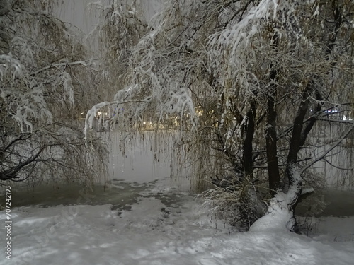 snow covered trees