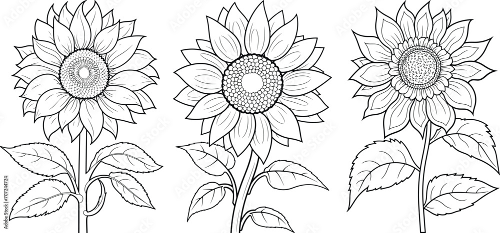 Hand-drawn set of sunflowers, flat minimalist black and white coloring page illustration of flower, adults and children vector sketch - obrazy, fototapety, plakaty 