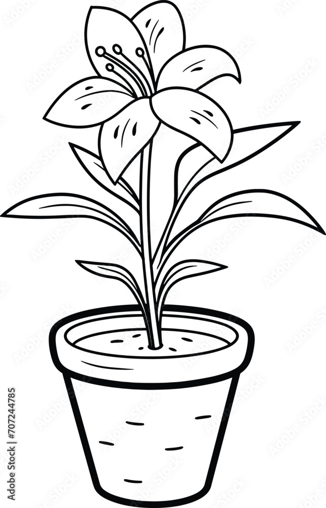 Hand-drawn lily bouquets lily flower outline, flat minimalist black and white lily flower illustration Hand-drawn lily bouquets lily flower outline, flat minimalist black and white lily flower illustration