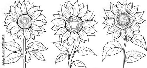 Hand-drawn set of sunflowers, flat minimalist black and white coloring page illustration of flower, adults and children vector sketch photo