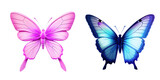 Colorful and Vibrant Butterflies on a Transparent Background: Nature-inspired Graphics