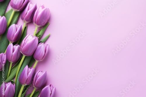 Spring tulip flowers on lilac background top view in flat lay style © GalleryGlider