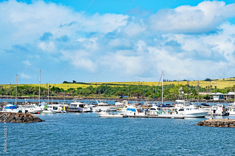 Small boats and pleasure craft are moored in the marina at Port Allen on the Hawaiian island of Kauai.