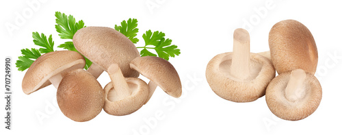 Fresh Shiitake mushroom isolated on white background with full depth of field.