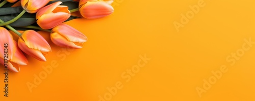 Spring tulip flowers on orange background top view in flat lay style