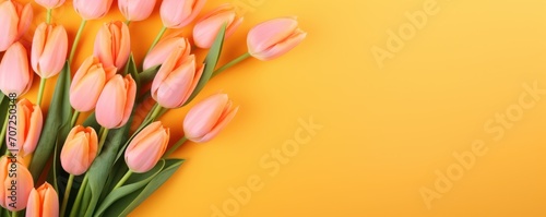 Spring tulip flowers on orange background top view in flat lay style
