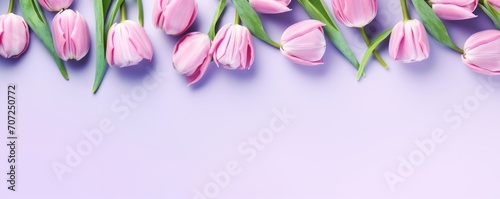 Spring tulip flowers on periwinkle background top view in flat lay style 