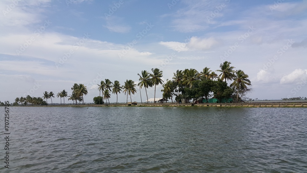 natural landscape with water and coconut trees blue sky clouds in Kerala India