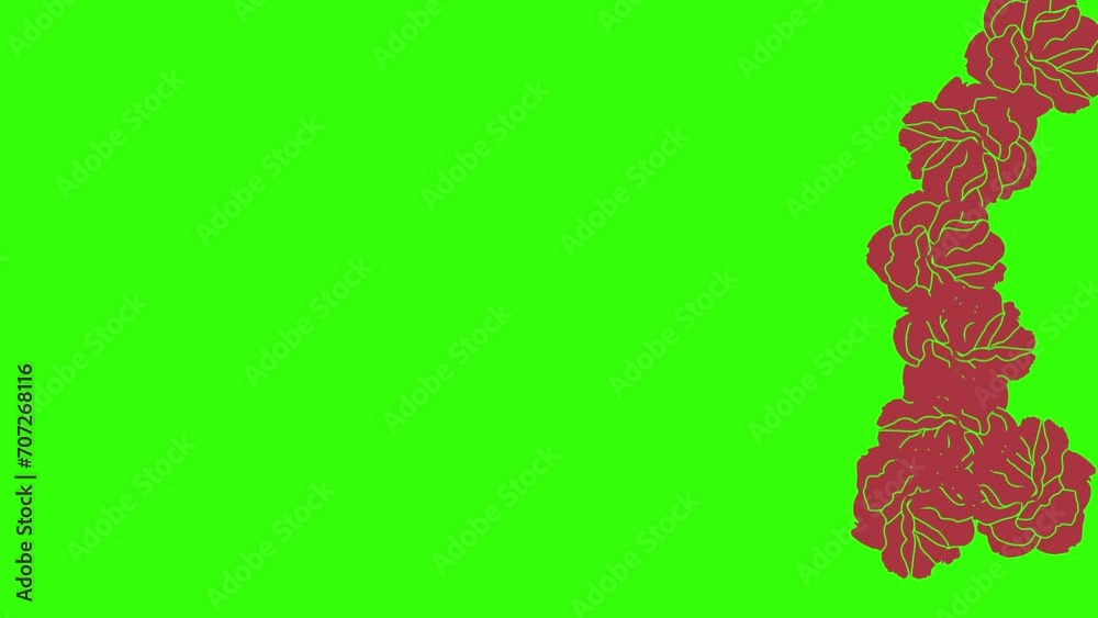 Animation of red roses, graphic design on green screen, transition element Animation of red roses, graphic design on green screen, transition element