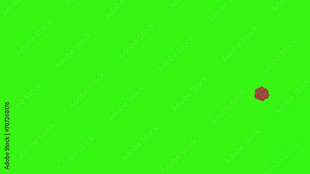 Animation of red roses, graphic design on green screen, transition element Animation of red roses, graphic design on green screen, transition element