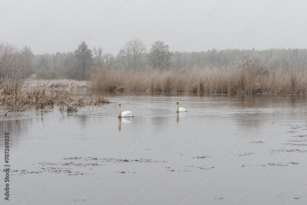 Winter at Spree river