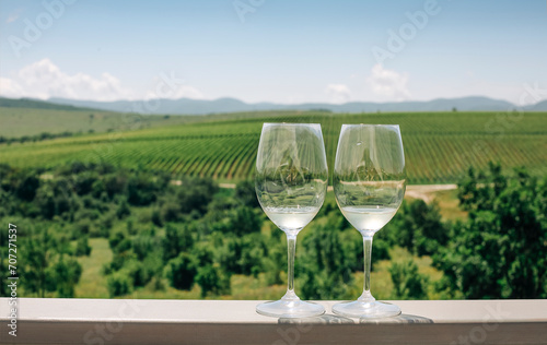 Grape vine, two glasses with white wine