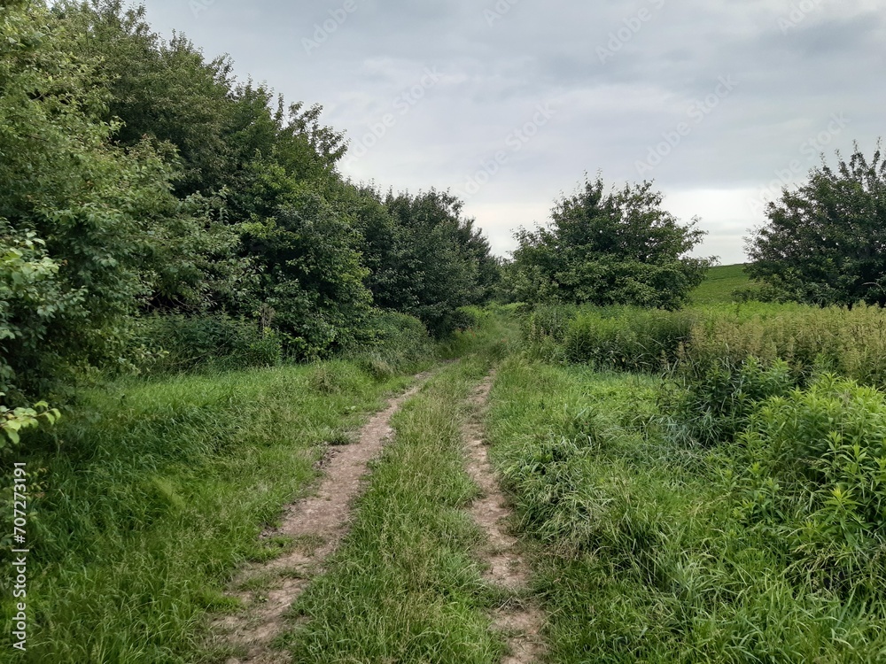 a path in a valley between green areas and fields a path in a valley between green areas and fields