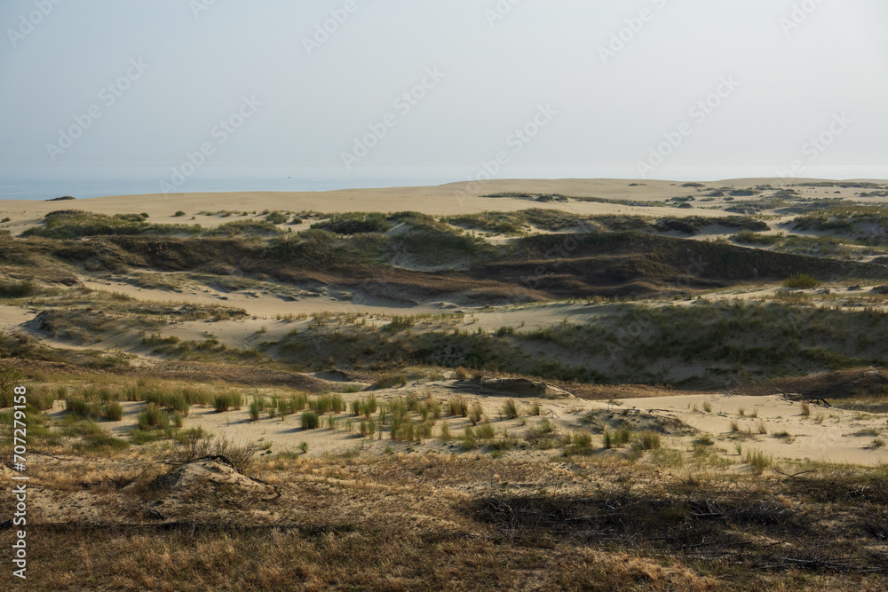 Expansive view of Curonian Spit's undulating sand dunes, a dynamic landscape where desert meets sea, under a hazy sky