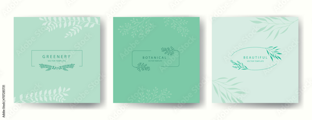 Vector aesthetic set of botanical covers with frames silhouettes branches and leaves. Delicate design for covers, packaging, cosmetics, floristry, cards, wedding disign Vector aesthetic set of botanical covers with frames silhouettes branches and leaves. Delicate design for covers, packaging, cosmetics, floristry, cards, wedding disign