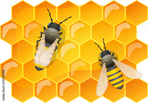 Homemade bee farm, production flower med on honeycomb, sweetness sugar dessert cartoon vector illustration, isolated on white. Eco healthy organic natural taste pollen product, honeybee insect.