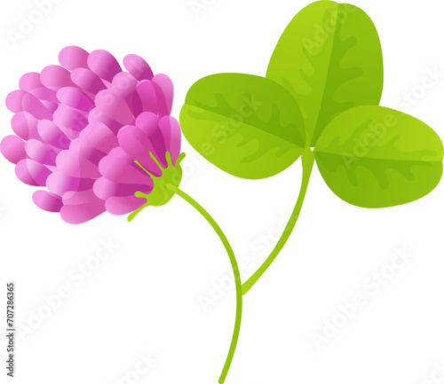 Honey flower purple with leaf icon, concept natural organic ecology blossom bud cartoon vector illustration, isolated on white. Environmentally friendly grass herb, lonely ripped herbarium.
