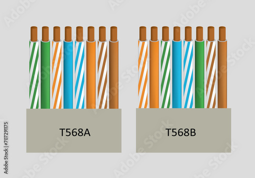 UTP cabling standards. vector illustration