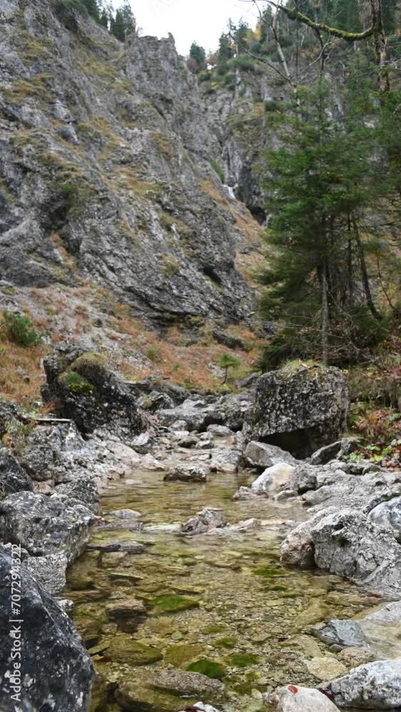 Vertical shot of a mountain stream in autumn, overcast Vertical shot of a mountain stream in autumn, overcast