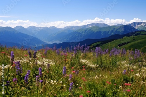 Mountain Wildflowers. A panoramic view of mountains adorned with a profusion of wildflowers.