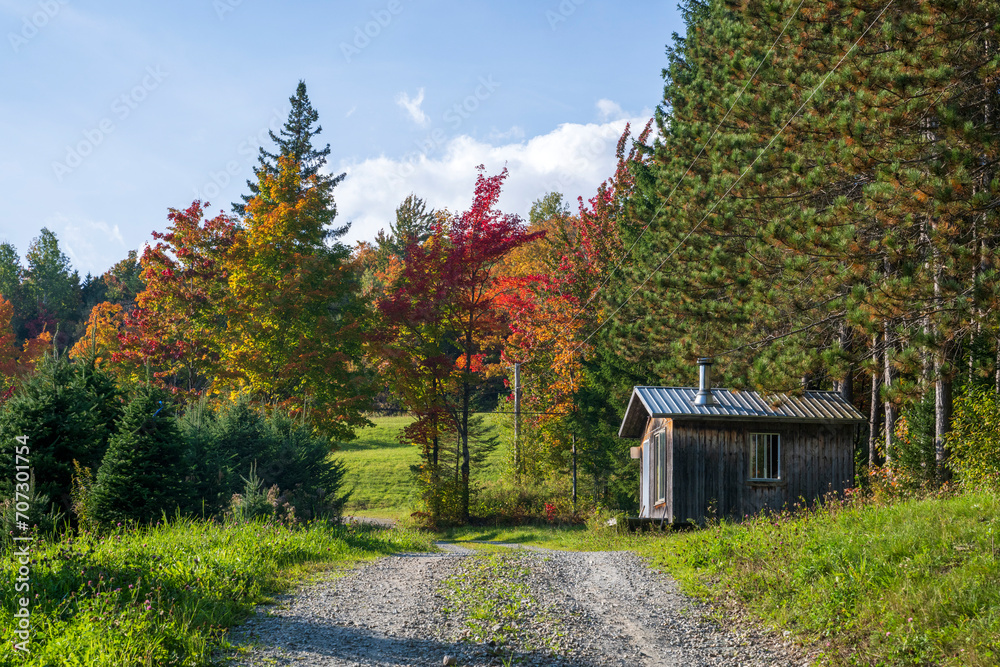 An old shack in the Quebec fall colors An old shack in the Quebec fall colors