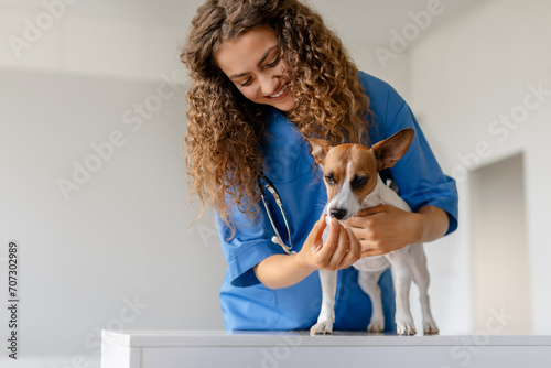 Female vet gives medication to dog during exam photo