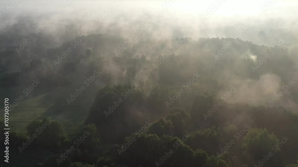 summer landscape and floating morning fog, aerial view
summer landscape and floating morning fog, aerial view