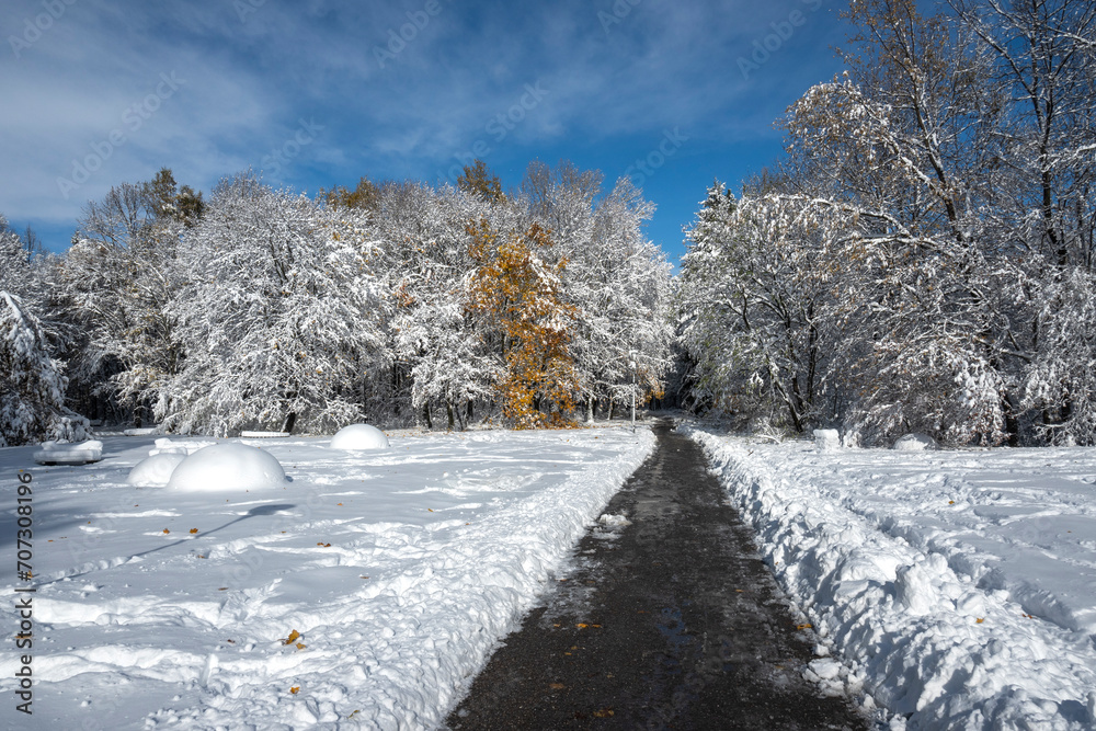 Winter Landscape of South Park in city of Sofia, Bulgaria Winter Landscape of South Park in city of Sofia, Bulgaria