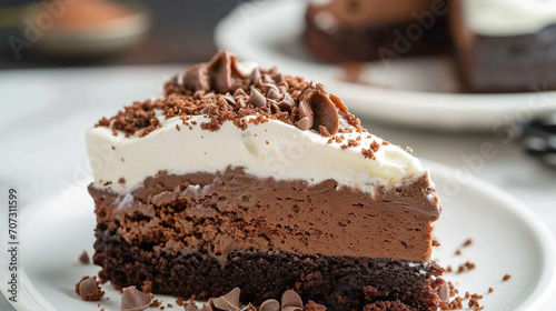 Delicious chocolate mud cake with melted marshmallows on a plate. American cuisine pastry photo