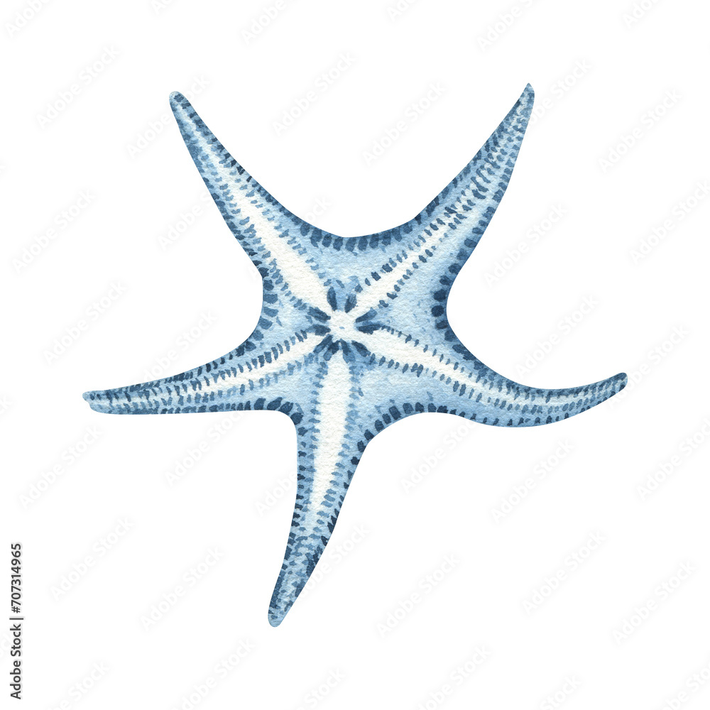 Watercolor nautical illustration, blue transparent starfish. Drawing on a white background for postcards, stickers, scrapbooking, posters, prints. Watercolor nautical illustration, blue transparent starfish. Drawing on a white background for postcards, stickers, scrapbooking, posters, prints.