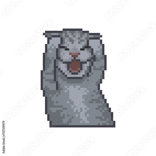 baby cat crying, pixel art meme