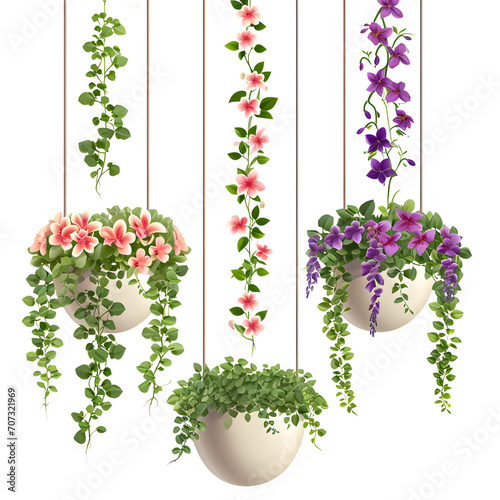 Hanging planters with cascading flowers isolated on white background, pop-art, png 