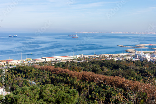 High-angle view of Botanical Garden Hamma in Algiers City. Algeria. photo