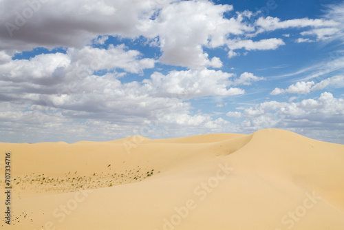 Tuyesu dunes landscape  Senek  Kazakhstan