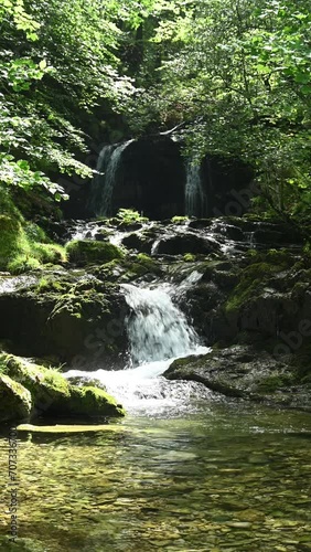 A mountain stream in front of a hidden waterfall in a summer forest, vertical shot