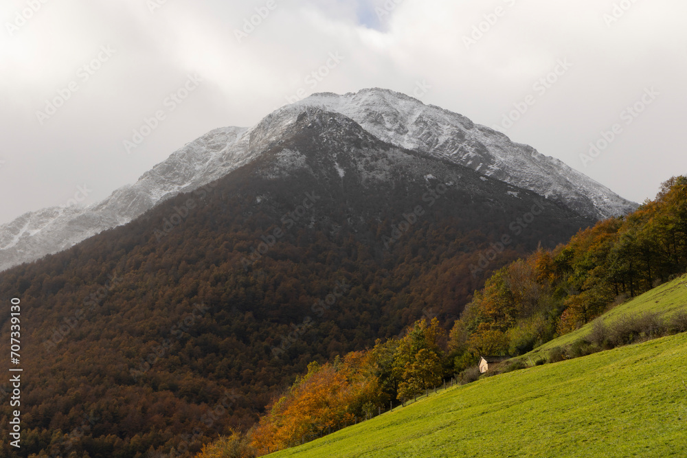 Landscape of forest with green meadow during autumn in northen Cantabrian mountains