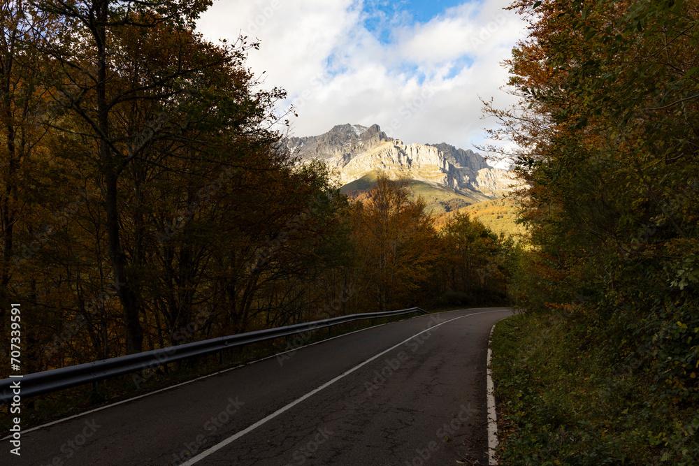 Asphalt road through Picos de Europa national park forest in northern Spain during autumn with bright leaves