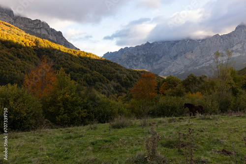 Landscape of Peaks of Europe national park at sunset with bright sunset sky and autumn forest with colorful yellow and orange leaves