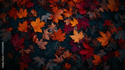 Whispers of Fall: Dark Gold & Crimson Leaves Wallpaper